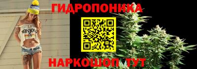 спиды Славгород