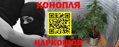 эйфоретик Славянск-на-Кубани