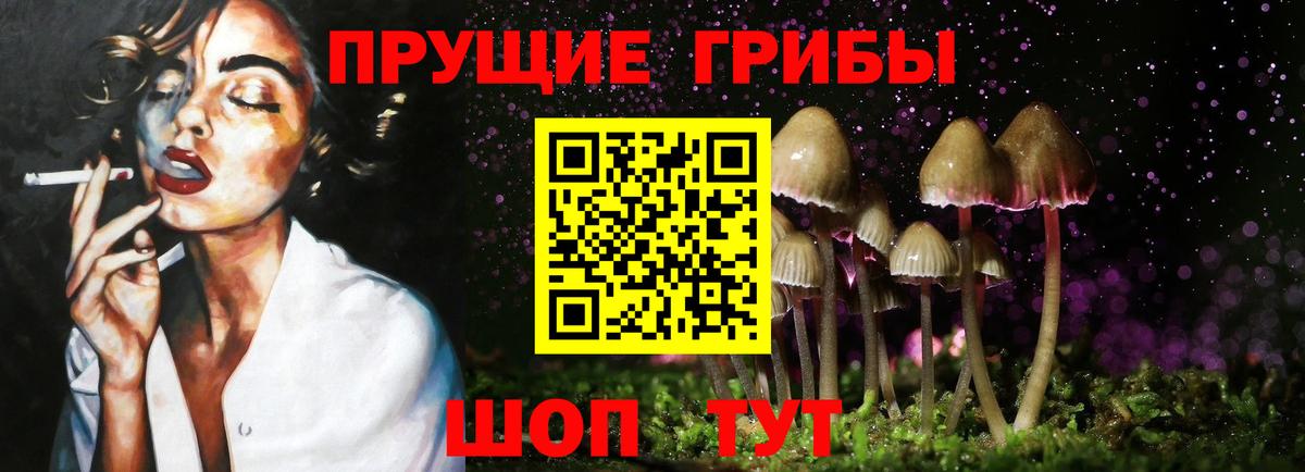 что такое наркотик  Вход с VPN  Бийск  Псилоцибиновые грибы MAGIC MUSHROOMS 